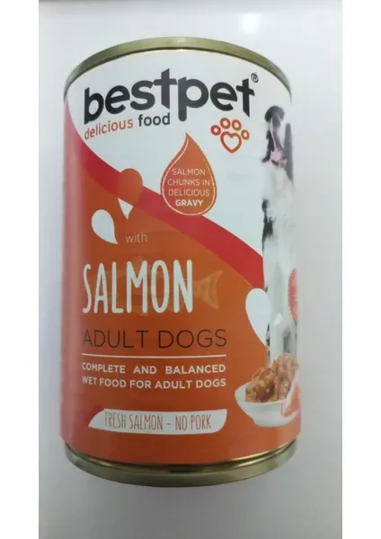 Bestpet Somonlu Yetişkin Köpek Konservesi 400 gr 12 Li